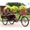 VOPLIVAT Triciclo for adulti a 3 ruote multicolore(Red)
