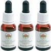 Bush Fuchsia Gocce 15 Ml 3x15 ml orali