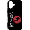 Hapkido martial arts sport combat sports Custodia per iPhone 17 Prospettive giapponesi Hapkido