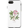 The Botany Bureau Custodia per iPhone SE (2020) / 7/8 Sensibile Pianta illustrazione Mimosa pudica