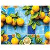 emmevi Coprifornelli Piano Cottura Gas Induzione In Pvc Antimacchia Copri Fornelli Cucina 52x80 Dis_M