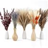 Minnhua 138PCS Bouquet di Pampas Grass Essiccato Fiori Secchi Decorativi