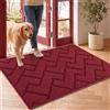 Biscpro Zerbino Ingresso Casa 50 x 80cm zerbino esterno,Tappeto Antiscivolo, Assorbente, Morbido e Lavabile Zerbino da Interni per Interno, Bagno, Cucina, Giardino (Rosso) (BBGS)