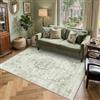 PureCozy Tappeto Salotto Verde 140x200cm Vintage Tappeti Grande Carpet Antiscivolo Lavabile in Lavatrice Cameretta Soggiorno Camera da Letto Office Carpets Morbido Pelo Corto Rug