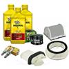 Generico Kit Tagliando compatibile con Yamaha T-MAX 530 2012-2016, 3 L Olio Bardah.l XTC C60 10W-40, Filtri e Candele