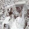 Björk Vespertine (CD) Album