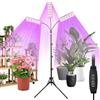 zenlavia Lampada per Piante da Interno, 30 W 360 LED Grow Light a Spettro Completo, dimmerabile timer ciclo 3/9/12 ore, regolabile in altezza 80-170 cm