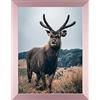 Rahmendesign24 Cornice Portafoto Milano 30 x 45 cm, in Oro Rosa, Cornice Intercambiabile, Portafoto, Cornice per Puzzle