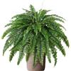 Generic Piante di felce finte, resistente ai raggi UV per esterni, 50,8 cm, grande verde, giardino, cortile, soggiorno, balcone, vaso, fioriera, dispositivo decorativo per la casa, per la casa per