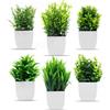 Cexovo Piante Succulente Artificiali 6 Pezzi Piccole Piante Artificiali in Vaso Piante Finte da Interno Piantine Finte Decorative con Vasetto per Casa Ufficio Tavolo Stanza Bagno Decorazione Interno