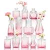 BTSD-home Set di 12 piccoli vasi in vetro per centrotavola, mini vasi vintage, decorazioni per la casa e la tavola (rosa)