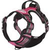 CAMON PETTORINA COMFORT PLUS REFLEX TG. L (55-69 CM. / 62-88 CM. CM.) FUCSIA