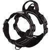 CAMON PETTORINA COMFORT PLUS REFLEX TG. XS ( 36-46 CM. / 45-55 CM.) NERA