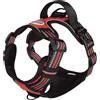 CAMON PETTORINA COMFORT PLUS REFLEX TG. XS ( 36-46 CM. / 45-55 CM.) ROSSA
