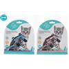 LeoPet PARURE CON GLITTER RIFLETTENTE PER GATTI CUCCIOLI