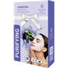 STAY WELL Purifyng Characoal Gift Set Of 10 Face Shhet Masks