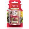 Yankee Candle Red Raspberry 1 pz