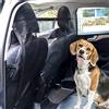 MengH-SHOP Rete Auto per Animali Pet Auto Barriera per Cani Rete di Sicurezza Universale per Cani e Animali Domestici 115x62cm Nero