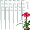 CHUIFAI 24 Pezzi Pali di Supporto per Piante, 40 cm Paletto a Stelo Singolo | CHUIFAI, Ferro, Anello Superiore, 100 Legacci Inclusi, per Tulipani Rose Gigli e Pomodori