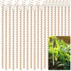 Doksving 20 pali per piante elettroculturali, antenne a spirale in rame da 33,5 cm, paletti da giardino, kit di anelli tensori, aste in rame per piantare piante da giardino in crescita per interni ed