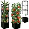 MQJIAZHI Sostegni per Pitaya Resistenti 1Pc, Supporti Metallici Regolabili con Sacchi di Coltura Non Tessuti, Grigliate Antiruggine per Giardino Verticale, Piante Rampanti Indoor e Outdoor