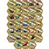 Renegade Game Studios Renegade Games: Heroscape: Glyph Pack - Espansione, 33 nuovi glifi, accessorio per giochi di miniature, componente aggiuntivo da tavolo, sfrutta i poteri magici del Valhalla
