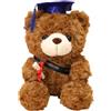 Fayemint Orso Laureato, Orso Dottore, Peluche Laurea, per Decorazioni per Feste di Laurea, Regali per Feste Studentesche