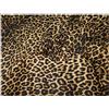 Russo Tessuti Tessuto Abbigliamento Lycra Body Costumi Ballo MACULATO Animalier 100x150cm