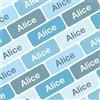 My Nametags® 175 Mini Adesivi Personalizzati | Etichette per Materiale Scolastico: Penne, Matite, Pennarelli e Altro | Mini Etichette Impermeabili senza Ferro per Tutte le Età | Colori Delfino