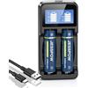 JESSPOW Batteria ricaricabile da 3,7 Volt con caricabatterie, batteria da 3300 mAh per torce a LED, torce elettriche, piccole ventole [2 batterie da 2 pezzi, non AA/AAA)