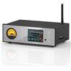 Douk Audio HiFi ES9038 DAC Music Streamer DSD512 (Douk Audio C100 PRO)