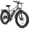 Rattan Bicicletta elettrica per adulti Fat Bike elettrica da 26 pollici, batteria 720 Wh, autonomia 105 km, pneumatici larghi 26 x4.0, bici da tutto il terreno con freni a disco 180 mm