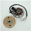 TEKNIX Statore rotore di accensione Teknix per Scooter Aprilia 50 SR Racing LC Motore Minarelli Anteriore 2003 Nuovo