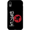 Hapkido martial arts sport combat sports Custodia per iPhone XR Prospettive giapponesi Hapkido