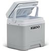 IGLOO IE24DC Frigo Elettrico, 12V, 24L - Mini Frigorifero Compatto per Auto, Campeggio, Viaggi, Barca e Festival - Leggero, Portatile e con Vano Portacavo
