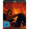 Donau Film Escort - Nacht der Begierde