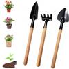 Ruayia Set di attrezzi da giardino, 3 pezzi, mini attrezzi da giardino, paletta da giardino, manico in legno, pala maneggevole, piccola pala per attrezzi bonsai, pianta fiori in vaso, terreno sciolto