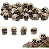 LXYYDS Teschi Decorativi in Miniatura, 20Pcs Figurine di Teschio, Teste di Teschio e Scheletri per Halloween, Decorazioni per Vasi di Fiori