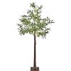 Beliani Albero di Natale Artificiale da Esterno e da Interno con luci LED preilluminato in PVC Stile scandinavo 180 cm Verde