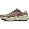 ASICS TRABUCO 14 GTX