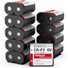 TQTHL Confezione da 10 batterie al litio CR-P2, 6 V, 2000 mAh, 223A, 2CR-P2, EL223AP e DL223A