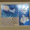 Sanrio Aeon Cinnamon Roll Christmas Acrylic Stand Premio Campagna Nuovo mai aperto