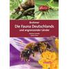 Quelle + Meyer Brohmer - Die Fauna Deutschlands und angrenzender Länder: Ein Bestimmungsbuch unserer heimischen Tierwelt