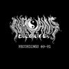 N2K2 Nirvana 2002: Recordings 89-91 (CD) Album