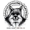 Willem Maker Stars Fell On (CD) Album