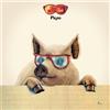 Pigro (DVD) Graziani Ivan