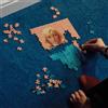 Gia Ford A Room Within Room (CD) Album (PRESALE 18/09/2026)