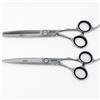 Jaguar Set Forbici Start Up Hera Da Taglio 6.25" E Da Sfoltire 6.25" 48 Denti Per Capelli