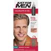 Just For Men Kit Colorante In Gel Per Capelli Colore Biondo Scuro H-15