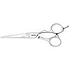 Jaguar Forbici Da Taglio Per Capelli Silver Line Xena 5,5"